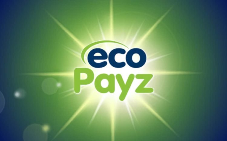  Ecopayz | Depósitos y Retiros rápidos desde tu cuenta de Poker 💵
