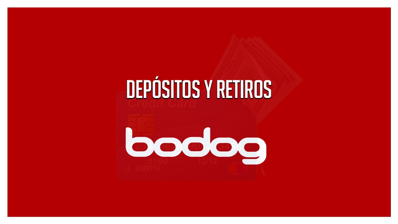 Bodog